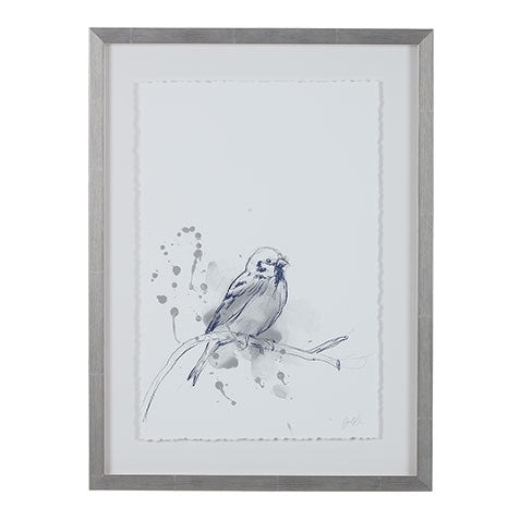 Bird Study II
