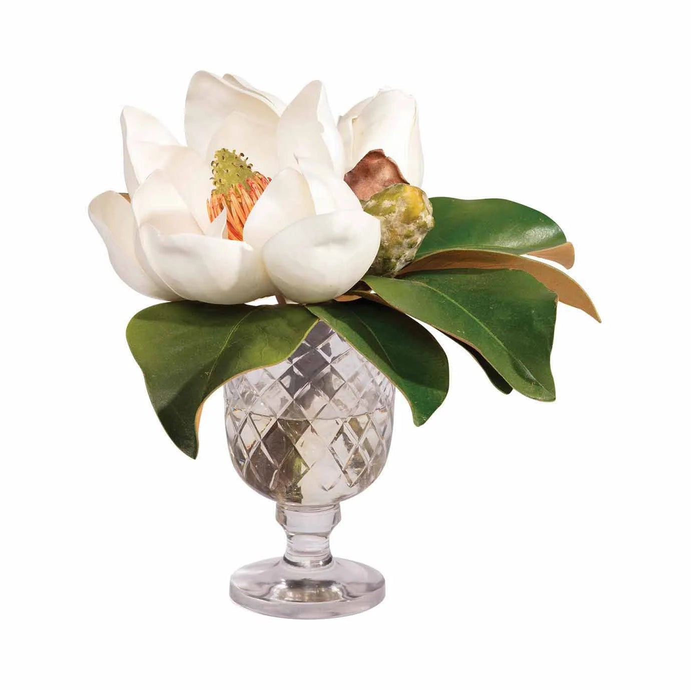 Magnolia Bouquet in Etched Glass Vase