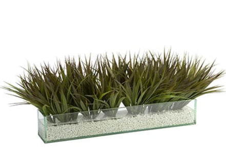 Grass in Linear Glass Box with Stones