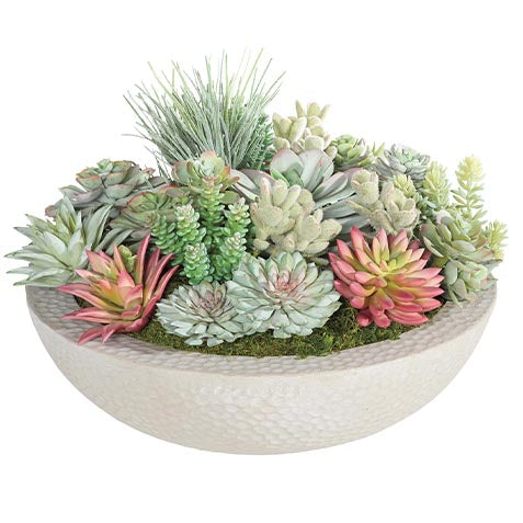 Mixed Succulents in Grey Bowl