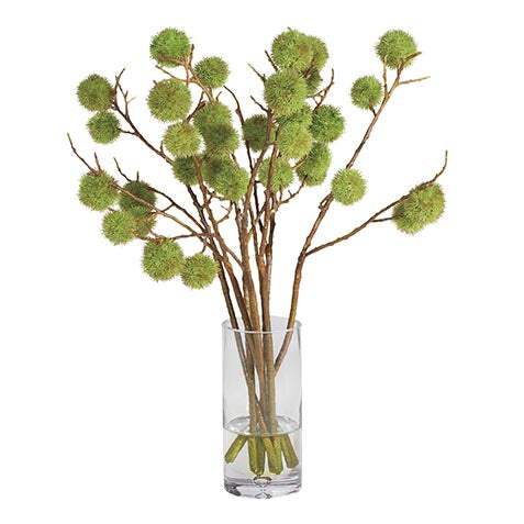 Chestnut Branches in Glass Vase