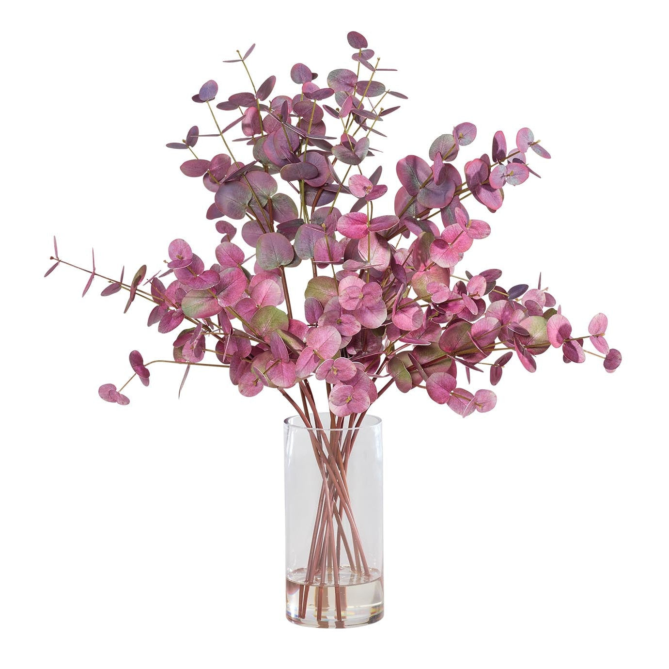 Burgundy Eucalyptus in Glass