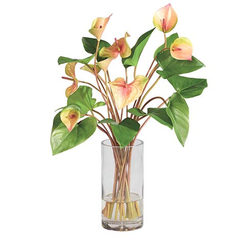 Coral Anthurium in Glass Vase