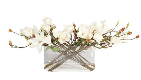 Magnolia in Linear Vase