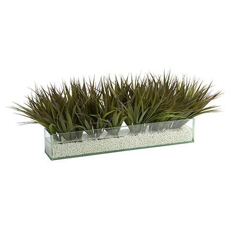 Grass in Linear Glass Box with Stones